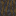 Muddy Mangrove Roots Side