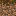 Podzol Side