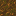Podzol Top