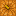 Pumpkin Top